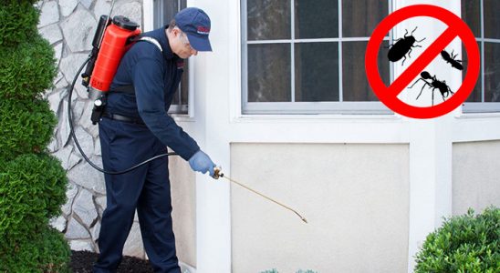 Beyağaç Kene İlaçlama böcek ilaçlama ve haşere kontrolü — ilaclama-tr.com